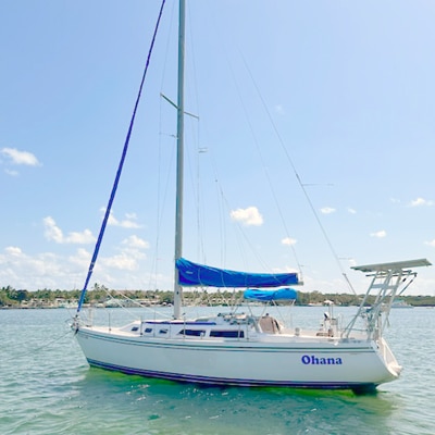 34 catalina sailboat for rent